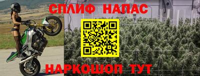 индика Коммунар