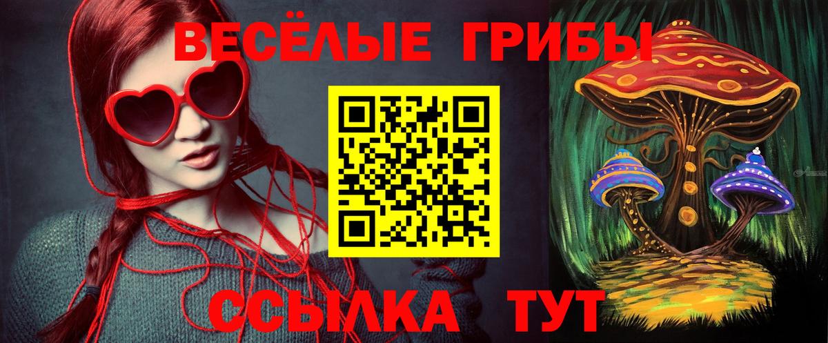 Галлюциногенные грибы MAGIC MUSHROOMS Донской
